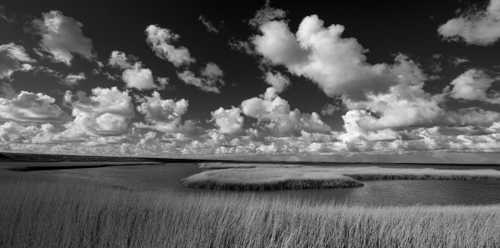 Margrethe Koog | Dänemerk